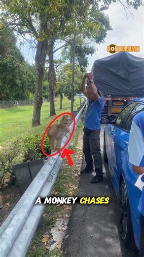 When Nature Joins the Game | Don Benjamin