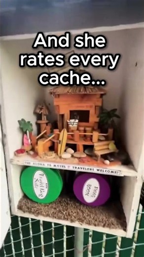 🩴 Would you #geocache in sandals? 🩴 #geo #shorts