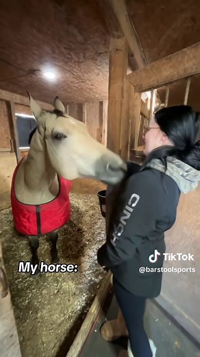 Funny Horse Clips: Horses Playing and Riding Adventures
