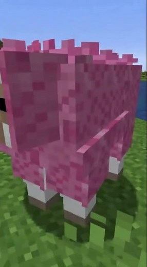 PINK SHEEP IN MY GAME BUT RTX 0.16% 😭💗#minecraft #minecraftshorts ‪@TwinBlocksYT‬