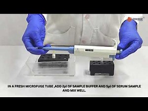 SERUM PROTEIN ELECTROPHORESIS TEACHING KIT