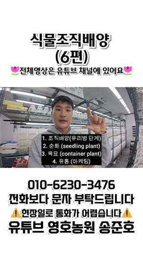 Plant Tissue Culture Part 6 (Full video on YouTube💕) 47