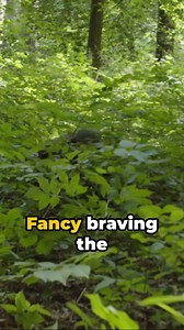 #prepper #preparedness #prepperlife #prepperlifestyle #prepperskills #prepperknowledge #offgrid #offgridliving #offgridlife #offgridlifestyle #livingoffgrid #livingoffthegrid #livingofftheland #propertysecurity #protectyourfamilies #protectyourfamily #prepperfamily #preppersecurity #bugout #bugoutbag #bugoutlocation #buggingout #bugoutbags #bugoutlocations #askaprepper | Ask a Prepper