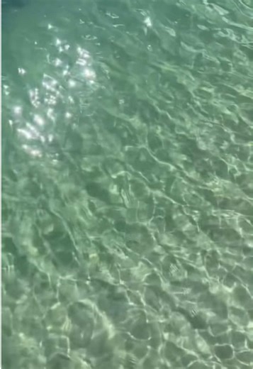 Stylish Riri Tank Tops for Every Summer Occasion