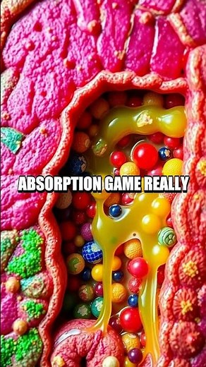 The Secret Role of the Duodenum