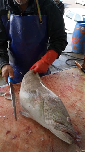 How to Make Perfect Grouper Fillets Quickly