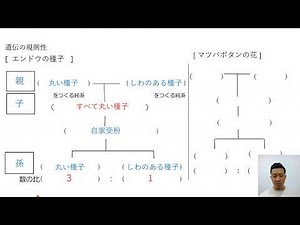 ３年理科 生命 第６回 「遺伝の規則性 （顕性形質・潜性形質）」