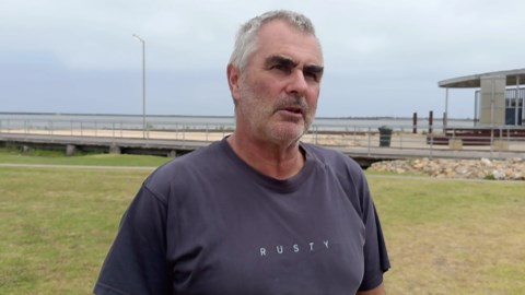 Deadly abalone disease devastates South Australia's South-East waters, threatening Adelaide's fishery