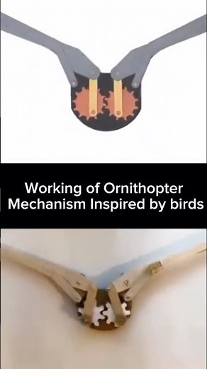 Amazing Bird-Inspired Ornithopter Flapping Mechanism! 🦅 #short