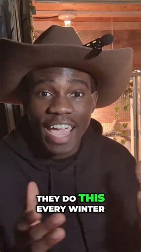 Bearded Dragon Brumation — What It Is & Signs 🦎❄️