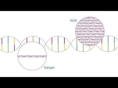 Learn with Illumina: Using NGS Instead of Sanger Sequencing