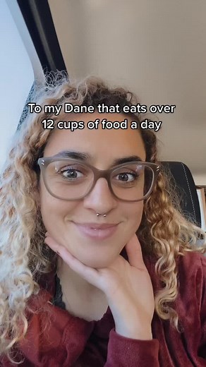 Only eating more as he grows 🥴 #largebreed #greatdane #dog #trends