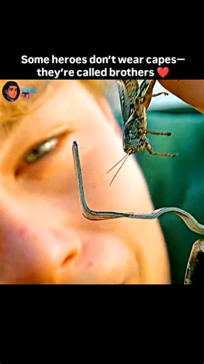 Viral Hit on Instagram: "What's Eating Gilbert Grape (1993) ⭐ Rating: 7.8/10 📅 Release Date: 1993 🎭 Genre: Drama, Romance 🎬 Director: Lasse Hallström 🎥 Movie Explanation What's Eating Gilbert Grape tells the story of Gilbert Grape, a young man living in a small town, burdened with the responsibilities of caring for his mentally challenged brother, Arnie, and his obese mother, who has been homebound for years. Gilbert struggles with his own dreams and desires while trying to keep his family t