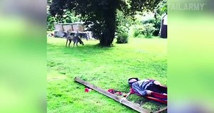 #Fails of the Week (July 2017)