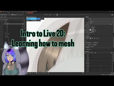 Introduction to Live2D: Meshing
