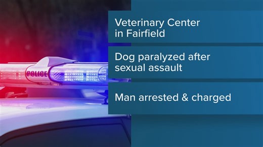 Man arrested after reported sexual assault of dog in Pittsfield