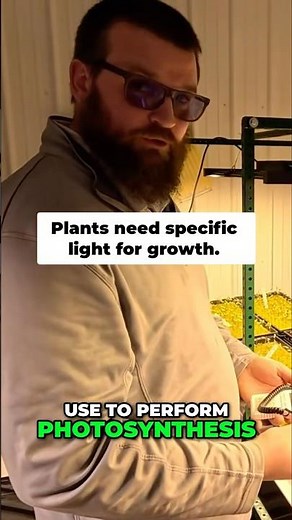 Your Grow Lights Might Be the Problem