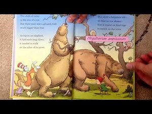Story - Once Upon A Mastodon