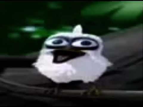 Bird screaming meme (bird screaming original meme)