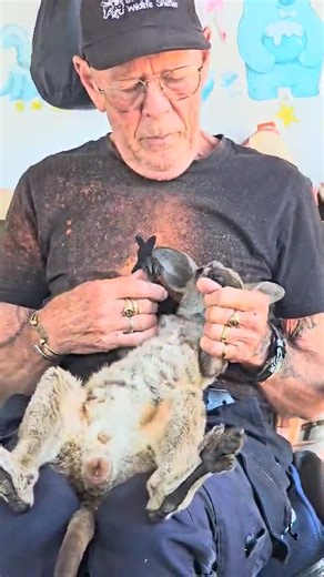 🌿 A Heart of Gold in the Bush: Scruff’s Story 🦘 At 70 years young, Scruff has spent more than a decade doing what few have the heart or strength to do — caring for Australia’s injured and orphaned wildlife. Day after day, in rain, heat, or heartbreak, he shows up with quiet determination and a deep love for the animals who can’t speak for themselves. But lately, it’s been tough. The calls come earlier, the rescues more frequent, and the goodbyes far too many. Some mornings, the heartbreak begi