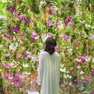 47K views · 1.3K reactions |...