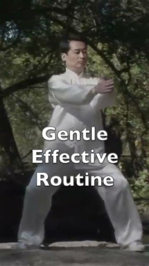 Tai Chi Class for Beginners | Calm Mind, Health Body #taichi #qigong #kungfu #martialarts