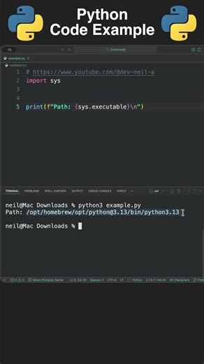 Python Example: Get The Full Path Of The Python Executable [How To]