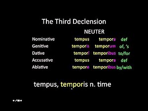 Latin Third Declension Nouns