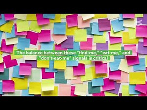 Regulation of efferocytosis as a novel cancer therapy