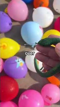 Reveal! Critique Best Buy's unreasonable return policy