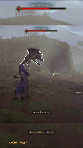 Dealing with Poacher Animagus || Hogwarts Legacy🎮🪄