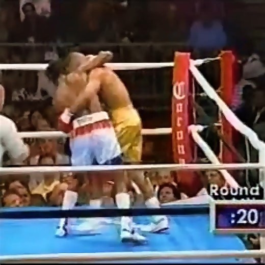 Gerald McClellan vs Julian Jackson Highlights | Anita Skorgan