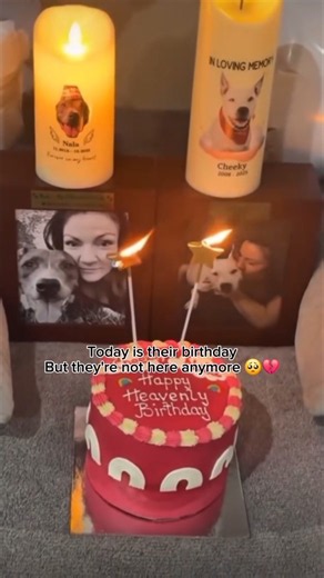 Today Is Their Birthday. But They're Not Here Anymore 🌈
