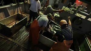 Fish from California can be shipped to China and back for processing — and still be labeled "caught in the U.S." "There's something inherently wrong with that," a U.S. fish importer-exporter told us: http://cnnmon.ie/1UEKtTF #RawIngredients w/ The Feed on CNN | CNN Business