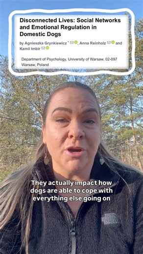 In both research and real life with dogs, the questions we ask determine the answers we get. Instead of asking, “How should dogs be socialized with other dogs, and what kinds of social experiences do they need with them?” Animal welfare science asks, “Are this social species of animal’s needs being met regarding access to stable relationships with other dogs? If not, how could we meet those needs to support welfare?” Fleeting interactions are not the same as relationships.� Just like us, dogs ar