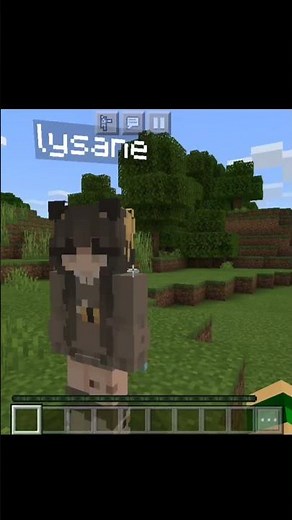 Como resolver o bug do Minecraft de não aparecer skin! #shorts