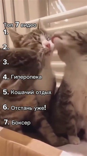 Топ 7 #meme #мем #мемас #memes #шуточное #мемы #смешнойшортс #юмор #смешновидео #прикол