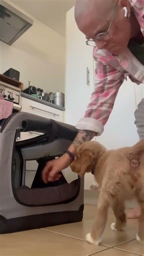 Episode 2 – Crate Training & Luring with a Treat | Bodhi's Assistance Dog Journey