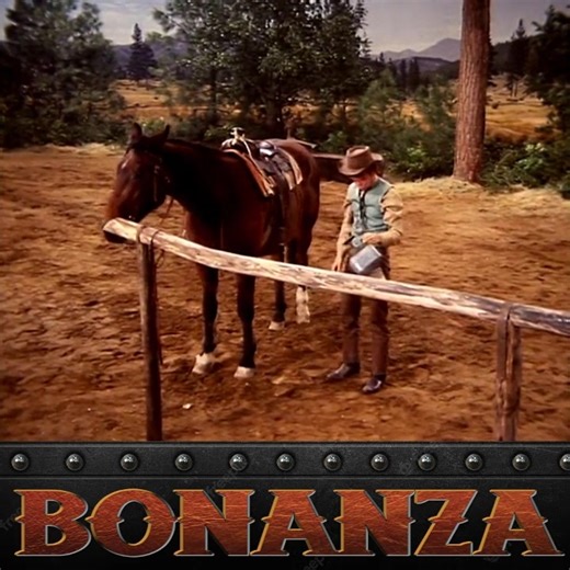 Bonanza Season 12 Episode 16- The Gold-Plated Rifle - P2 | Bonanza Forever