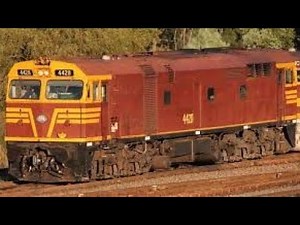 NSW 442 Class | A locomotive summary