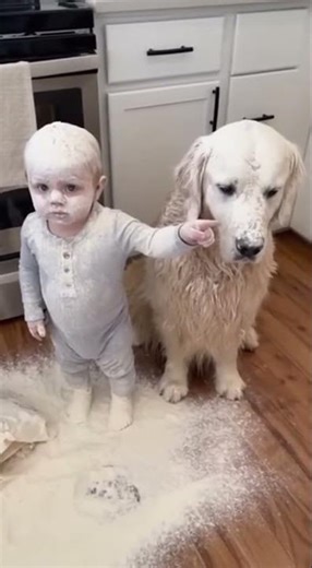 My Toddler and My Golden Retriever Are Twinning and Causing Kitchen Chaos 🤣