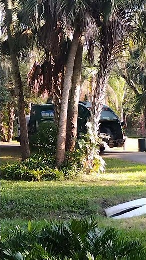 Waste Pro Rear Loader Recycling #wastepro #trashtrucks #garbagecollection #garbagetruck #automobile