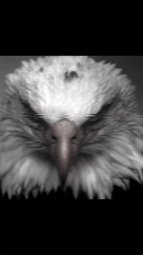 Fight Motivation Techniques for Aspiring Athletes