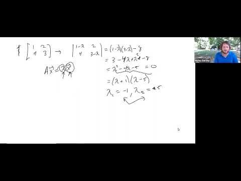Lecture 7 Eigenvalues and Eigenvectors Introduction