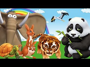 Gazoon | Jungle Games | Wild Animals Stories | Funny Animal Cartoon For Kids