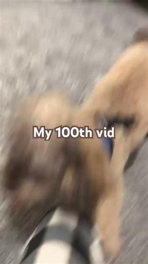 My 100th vid