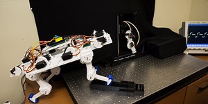 A Robotic Leg, Born Without Prior Knowledge, Learns to Walk - USC Viterbi | School of Engineering