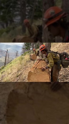 Believe in You! Creating the Life You Want