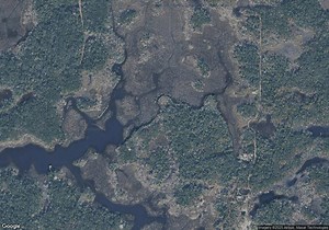 13469 Sportsmans Island, Homosassa, FL 34429 | Homes.com