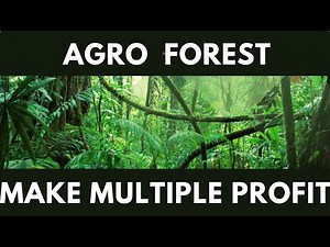 agroforestry farming|integrated timber tree, fruit tree, sheep, goat chicken honey farming